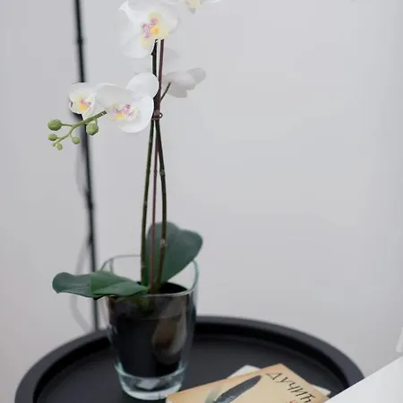 Mediterraneo Apartment